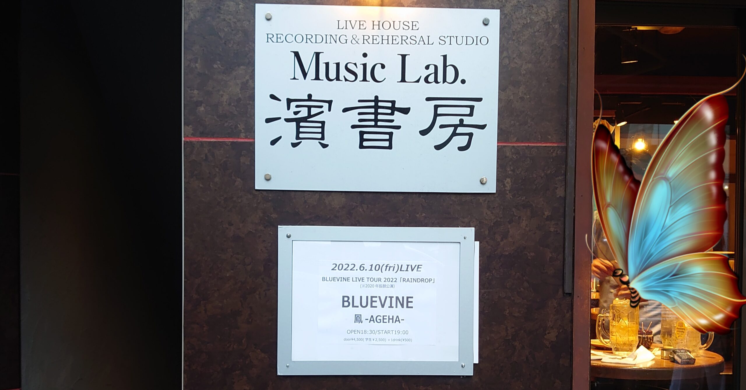 アゲレポ】BLUEVINE LIVE TOUR 2022 “RAINDROP”@Music Lab.濱書房【前編】 - in a trance.